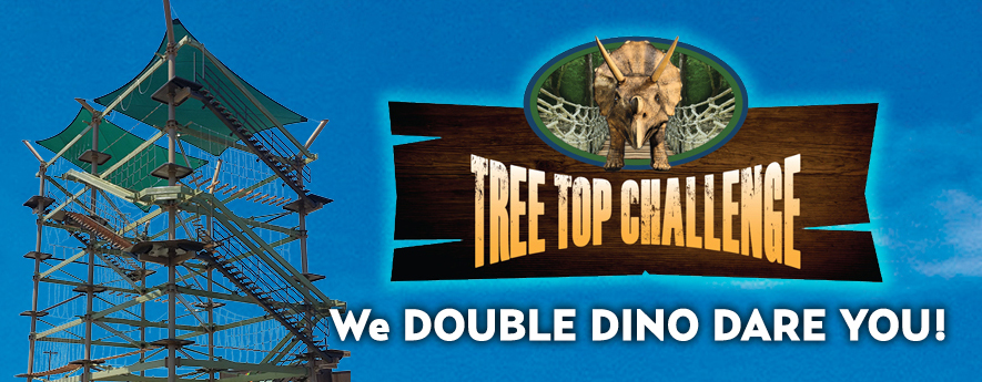 Treetop Challenge